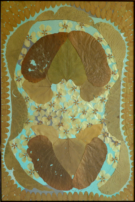 Reto Leibundgut, o.T., 2023, Herbarium, 101 x 71 cm