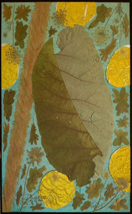 Reto Leibundgut, o.T., 2024, Herbarium, 94 x 63 cm