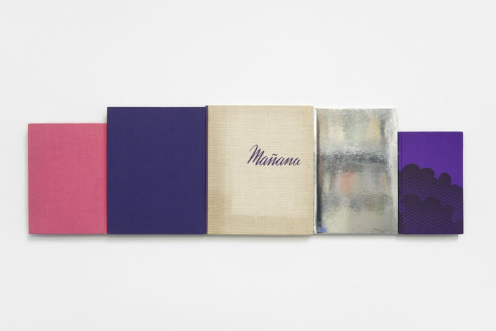 Peter Wüthrich, Essay - Manana, 2020, 5 Bücher zusammenfixiert, 26 x 85 cm