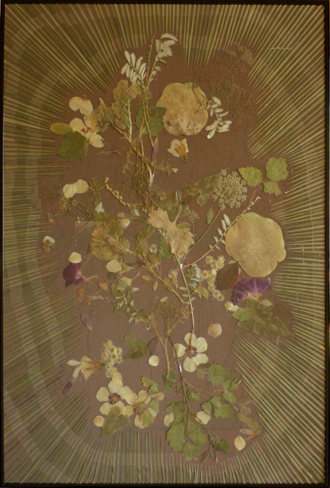 Reto Leibundgut, o.T., 2024, Herbarium, 101 x 71 cm
